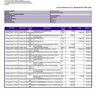 India Canara bank statement 3 ?C 6 months Word and PDF example, version 2 download template file