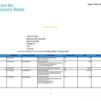 India Canara bank statement 5 pages download template file