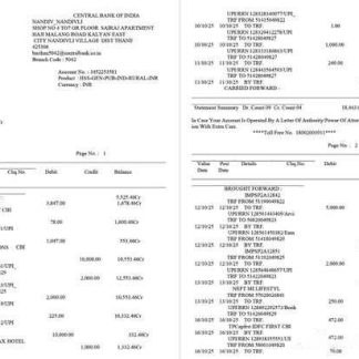 India Central Bank of India statement of account Word and PDF template, 2 pages download template file