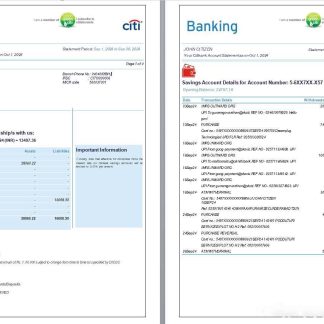 India Citibank bank statement, 6 pages, 1 2 scr download template file
