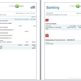 India Citibank bank statement, 6 pages, 3 4 scr download template file