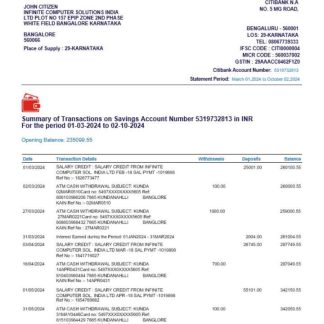 INDIA CITIBANK bank statement template, Word and PDF format download template file