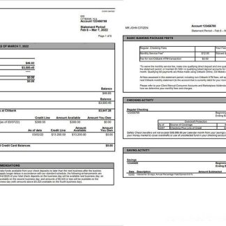 Australia Citibank Bank Statement download template file