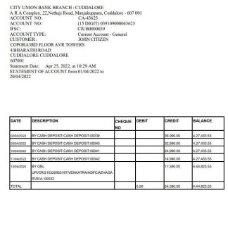 India City Union Bank statement download template file