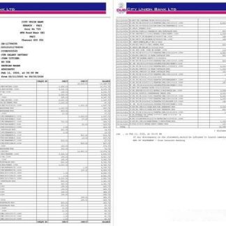 India City Union Bank statement of account Word and PDF template, 2 pages download template file