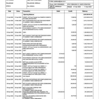 India CSB Bank statement of account Word and PDF template download template file