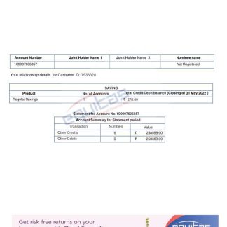 INDIA EQUITAS bank statement template, Word and PDF format download template file