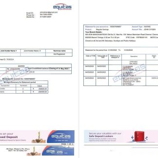 India Equitas bank statemnet 3 pages download template file