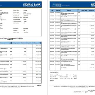 India Federal bank account statement 3 pages download template file