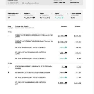 India Federal Bank account statement Word and PDF template, version 3 download template file