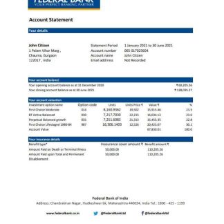India Federal Bank statement easy to fill template in .xls and .pdf file format download template file