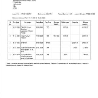 India Federal Bank statement of account Word and PDF template, version 2 download template file