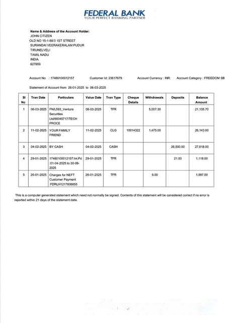 India Federal Bank statement of account Word and PDF template, version 2 download template file