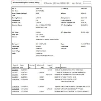 India Finacle bank statement easy to fill template in Excel and PDF format download template file
