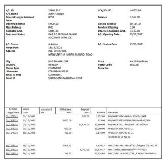 India Finacle bank statement easy to fill template in Word and PDF format download template file