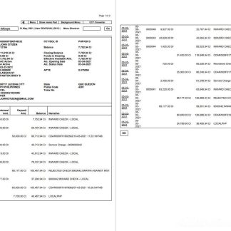 India Finacle bank statement in Word and PDF format (2 pages) download template file