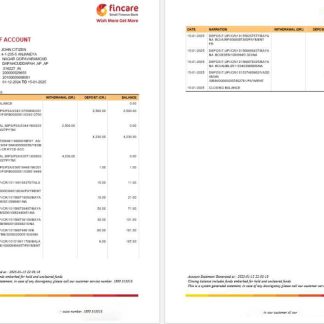INDIA FINCARE bank statement template, Word and PDF format, version 2 download template file