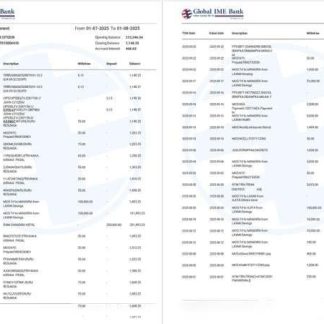 India Global Ime Bank account statement Word and PDF template, 2 pages download template file