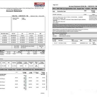 India HDFC Bank account statement Word and PDF template, 2 pages download template file