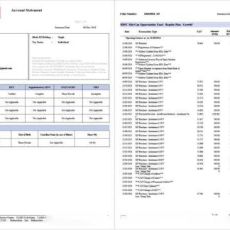 India HDFC Bank account statement Word and PDF template, 2 pages, version 2 download template file