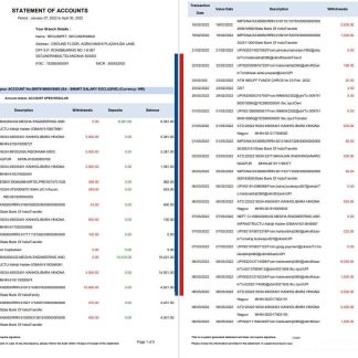 India HDFC bank statement 5 pages download template file