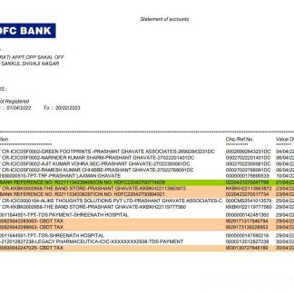 India HDFC bank statement template, Word and PDF format, 2 pages, version 2 download template file