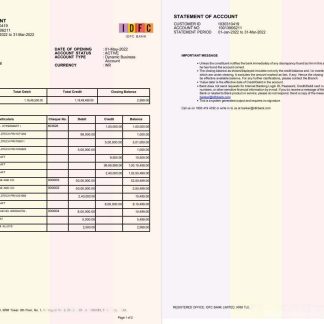 India IDFC bank statement 2 pages, new version download template file