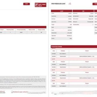 India IDFC First Bank Limited account statement Word and PDF template, 2 pages download template file