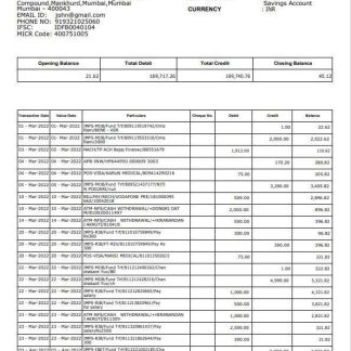 India IDFC First bank statement template, Word and PDF format, 2 pages download template file
