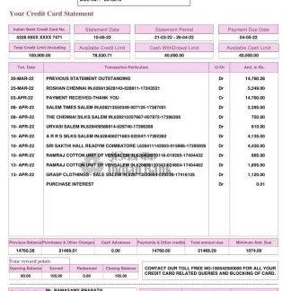 India Indian Bank statement template, Word and PDF format, 2 pages download template file