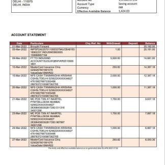 India IndusInd bank statement download template file
