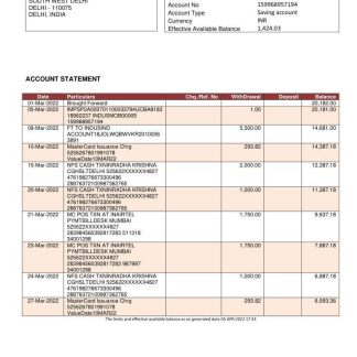 India IndusInd bank statement.1 download template file