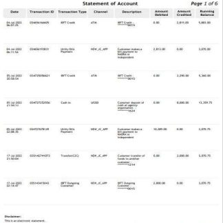 India Jazz Cash bank statement template, Word and PDF format, 6 pages download template file