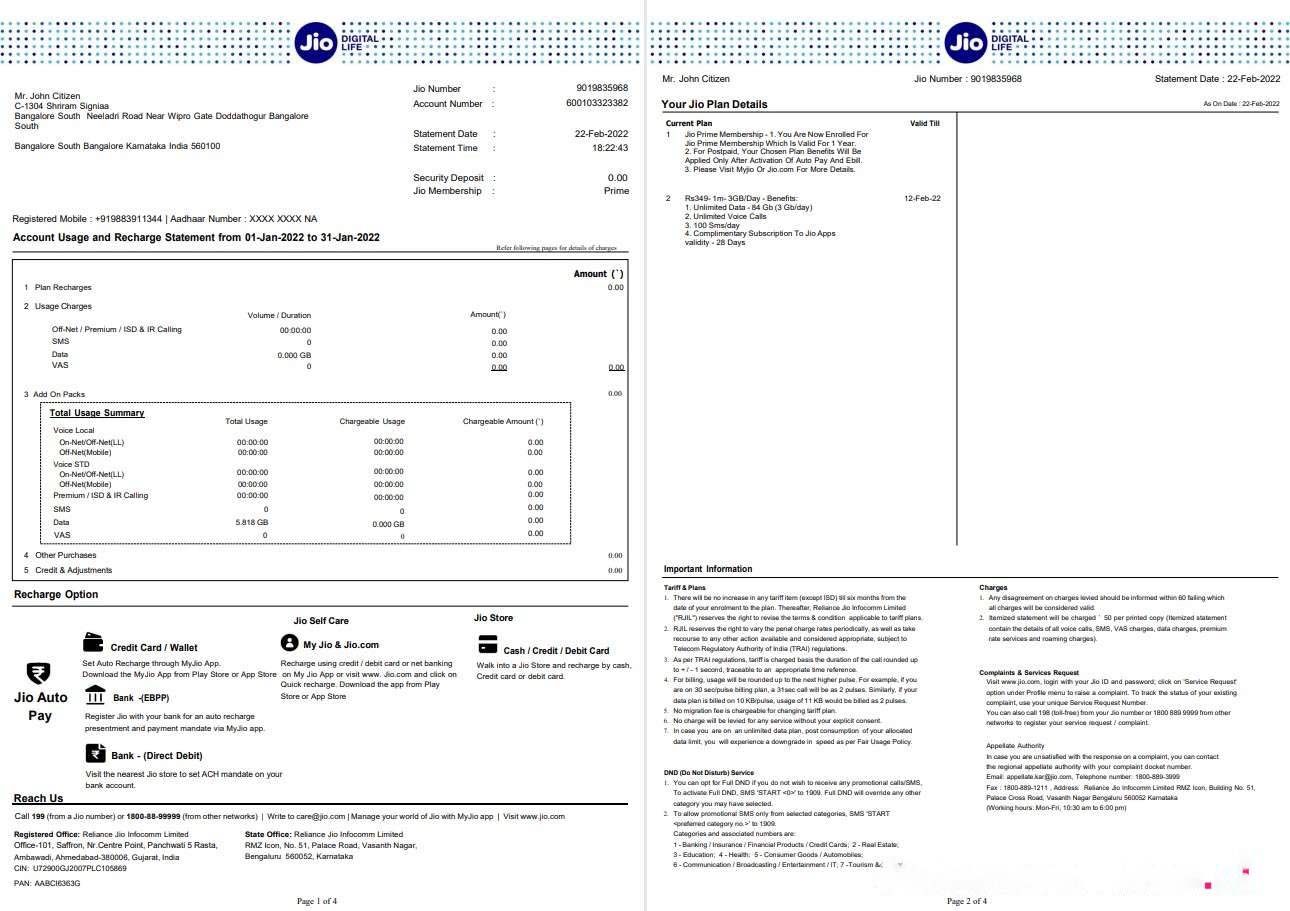 India Jio bank statement 4 pages download template file