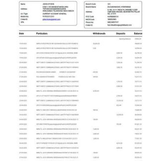India Karnataka Bank statement for account Word and PDF template download template file