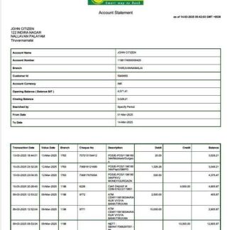 India Karur Vysya Bank account statement Word and PDF template download template file
