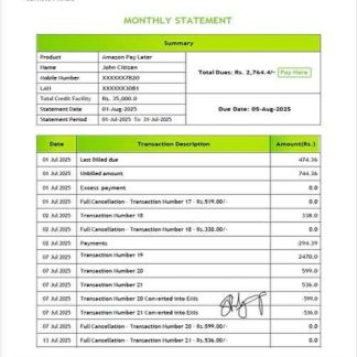 India Karur Vysya Bank account statement Word and PDF template, version 2 download template file