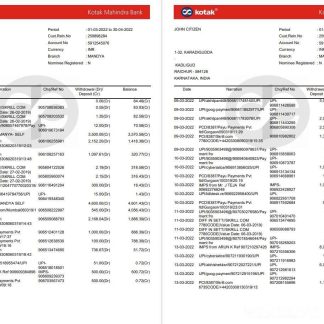India Kotak Mahindra bank statement 7 pages download template file