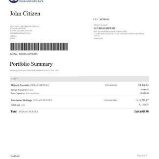 India Kotak Mahindra Bank statement template, Word and PDF format, 4 pages, version 2 download template file