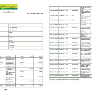 India KVB bank statement 2 pages download template file