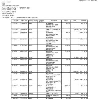 India Maharashtra bank statement template, Word and PDF format, 2 pages download template file