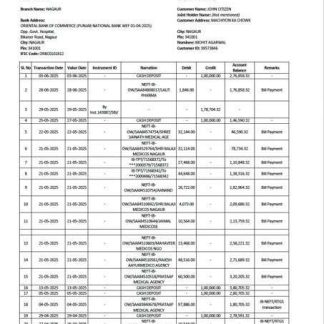 India Oriental Bank of Commerce account statement Word and PDF template download template file