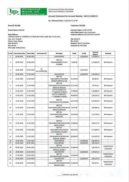 India Oriental Bank of Commerce account statement Word and PDF template download template file