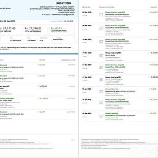 India PayTM Payments Bank account statement Word and PDF template, 3 pages, 1 2 pages download template file