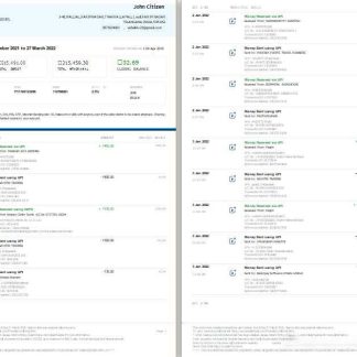 India Paytm Payments bank statement template, Word and PDF format, 2 pages download template file