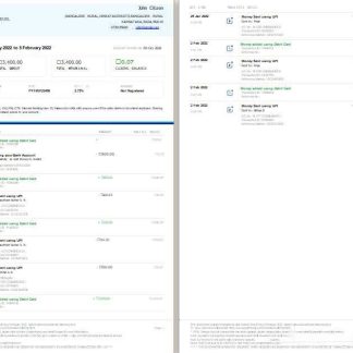 India Paytm Payments bank statement template, Word and PDF format, 2 pages, version 2 download template file