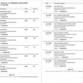 India PhonePe transaction statement Word and PDF template, 2 pages download template file