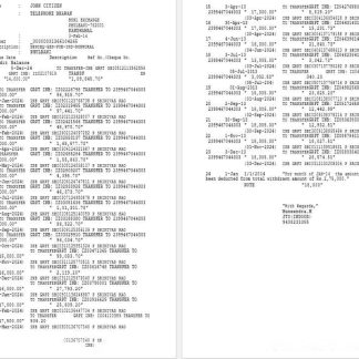 India Phulbani Bank of India statement Word and PDF example, 2 pages download template file