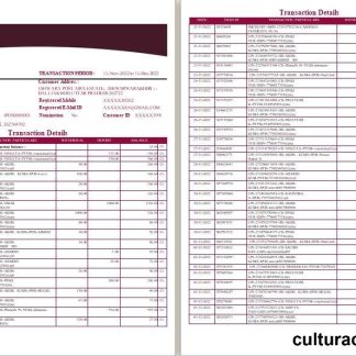 India Post Payments Bank statement template, Word and PDF format, 4 pages download template file