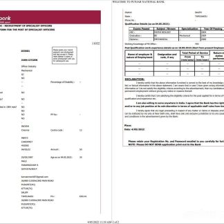 India Punjab National Bank statement Word and PDF template, 2 pages download template file
